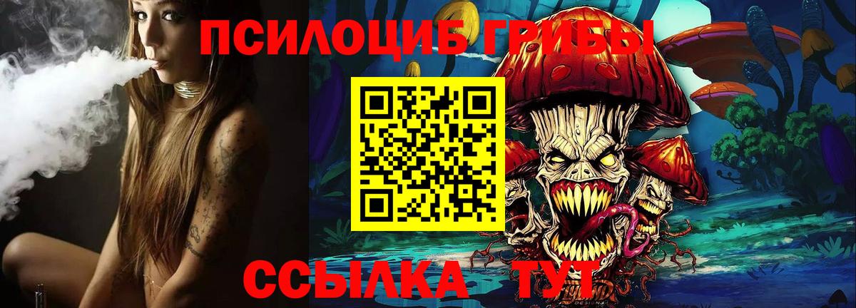 Псилоцибиновые грибы Cubensis Кушва