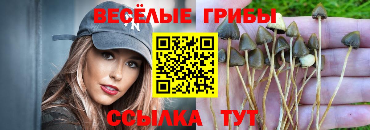 где можно купить   Вход с VPN  Кушва  Галлюциногенные грибы мицелий 